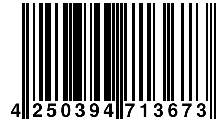 4 250394 713673