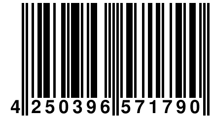 4 250396 571790