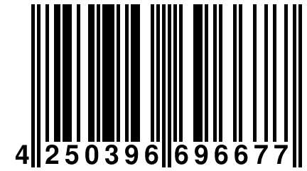 4 250396 696677