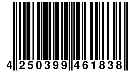 4 250399 461838