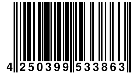 4 250399 533863