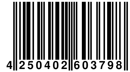 4 250402 603798