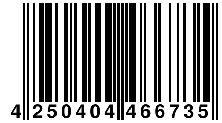 4 250404 466735