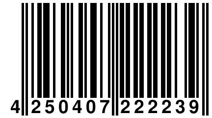 4 250407 222239