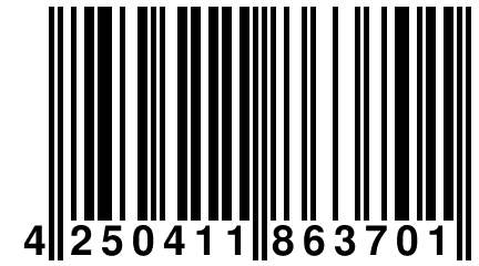 4 250411 863701