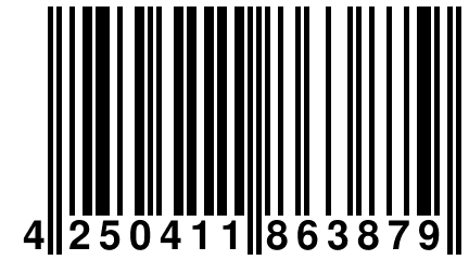 4 250411 863879