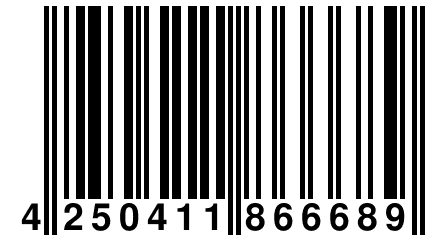 4 250411 866689