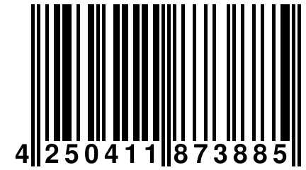 4 250411 873885