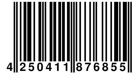 4 250411 876855