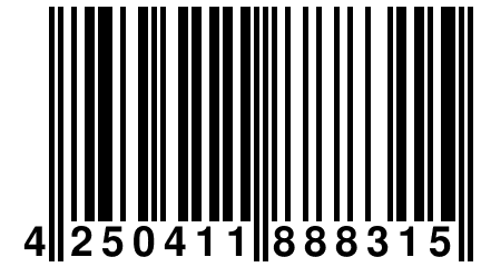 4 250411 888315