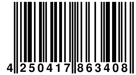 4 250417 863408