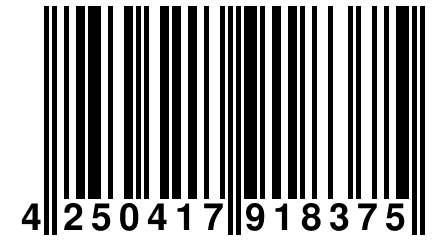 4 250417 918375