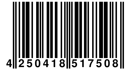 4 250418 517508