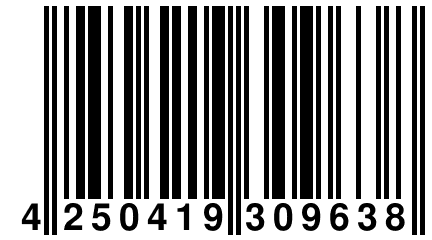 4 250419 309638