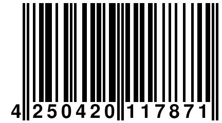 4 250420 117871