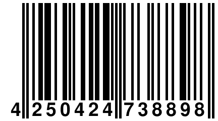 4 250424 738898