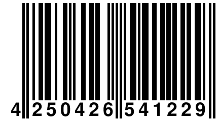 4 250426 541229