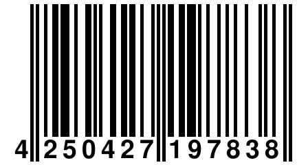 4 250427 197838