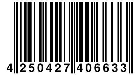 4 250427 406633