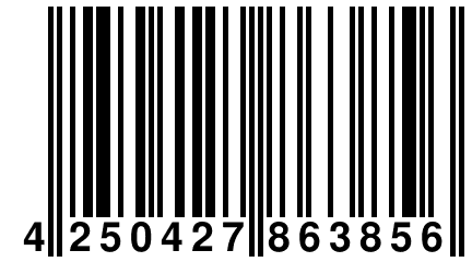 4 250427 863856