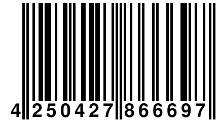 4 250427 866697