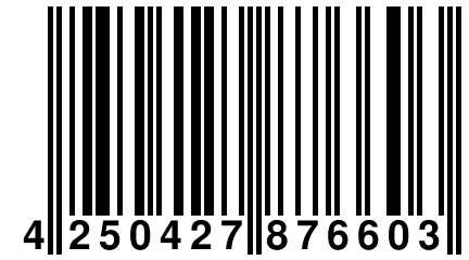 4 250427 876603