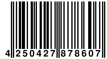 4 250427 878607