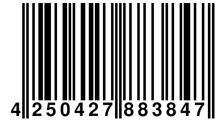 4 250427 883847