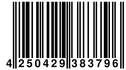 4 250429 383796