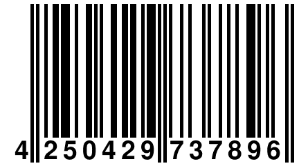 4 250429 737896