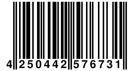 4 250442 576731