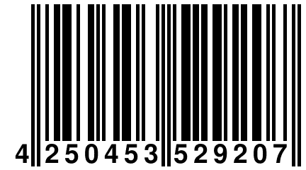 4 250453 529207