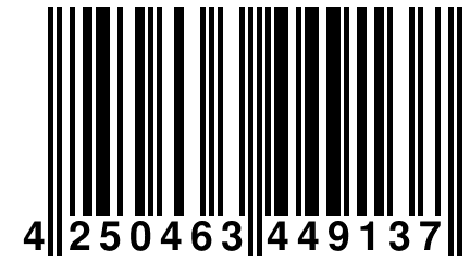 4 250463 449137