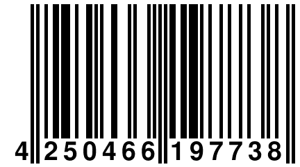 4 250466 197738