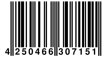 4 250466 307151