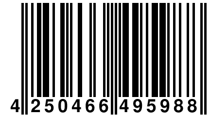 4 250466 495988