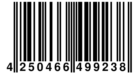 4 250466 499238