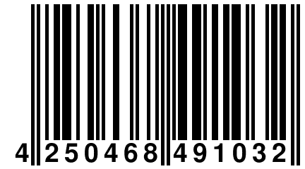 4 250468 491032