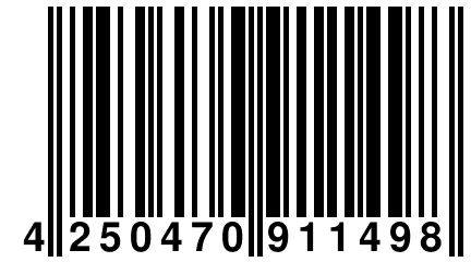 4 250470 911498