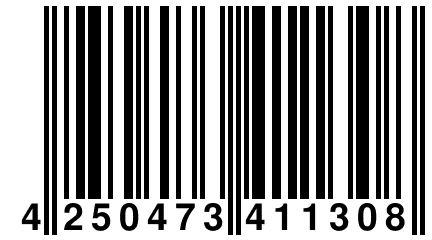 4 250473 411308