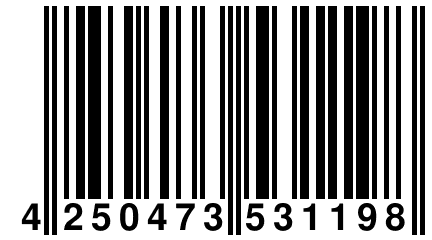 4 250473 531198