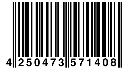 4 250473 571408