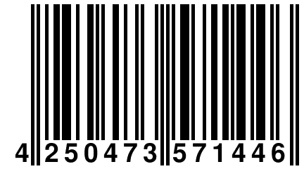 4 250473 571446