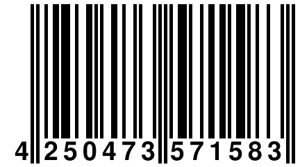 4 250473 571583