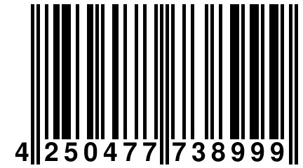 4 250477 738999