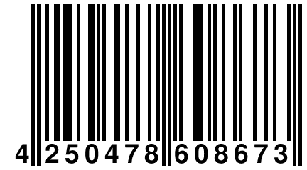 4 250478 608673