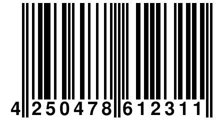 4 250478 612311