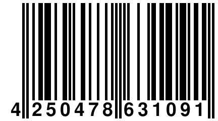 4 250478 631091