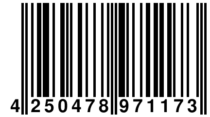 4 250478 971173