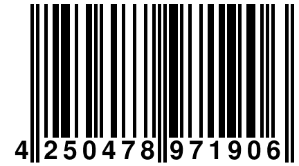 4 250478 971906